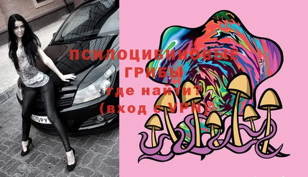 мяу мяу мука Надым