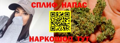 МДПВ Гай