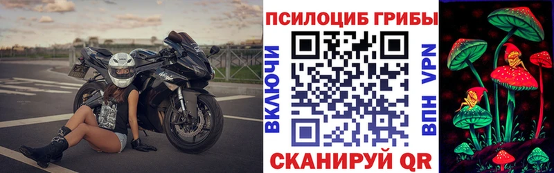 как найти закладки Кушва Галлюциногенные грибы Psilocybe