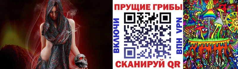 Псилоцибиновые грибы Psilocybe Кушва