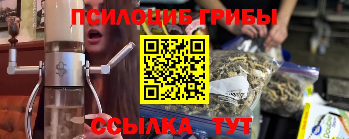 Галлюциногенные грибы MAGIC MUSHROOMS  Вход с VPN  Кушва 