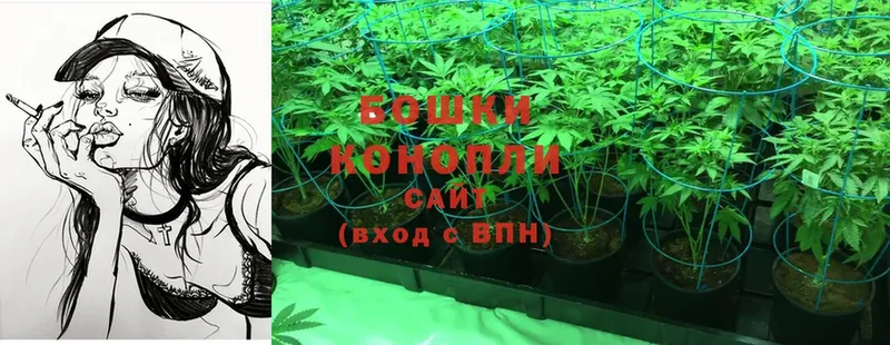 хочу наркоту  Кушва  Бошки Шишки SATIVA & INDICA 